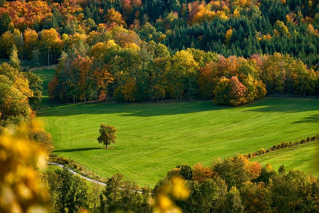 krásná krajina