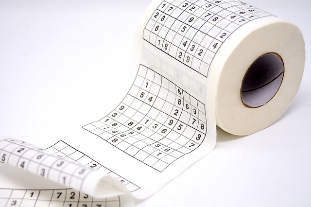 hra sudoku