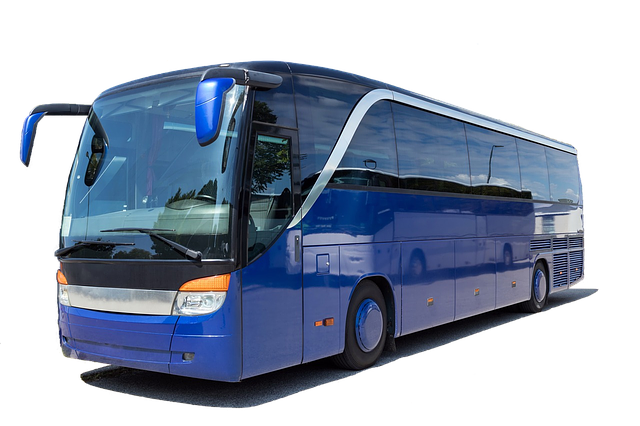 autobus